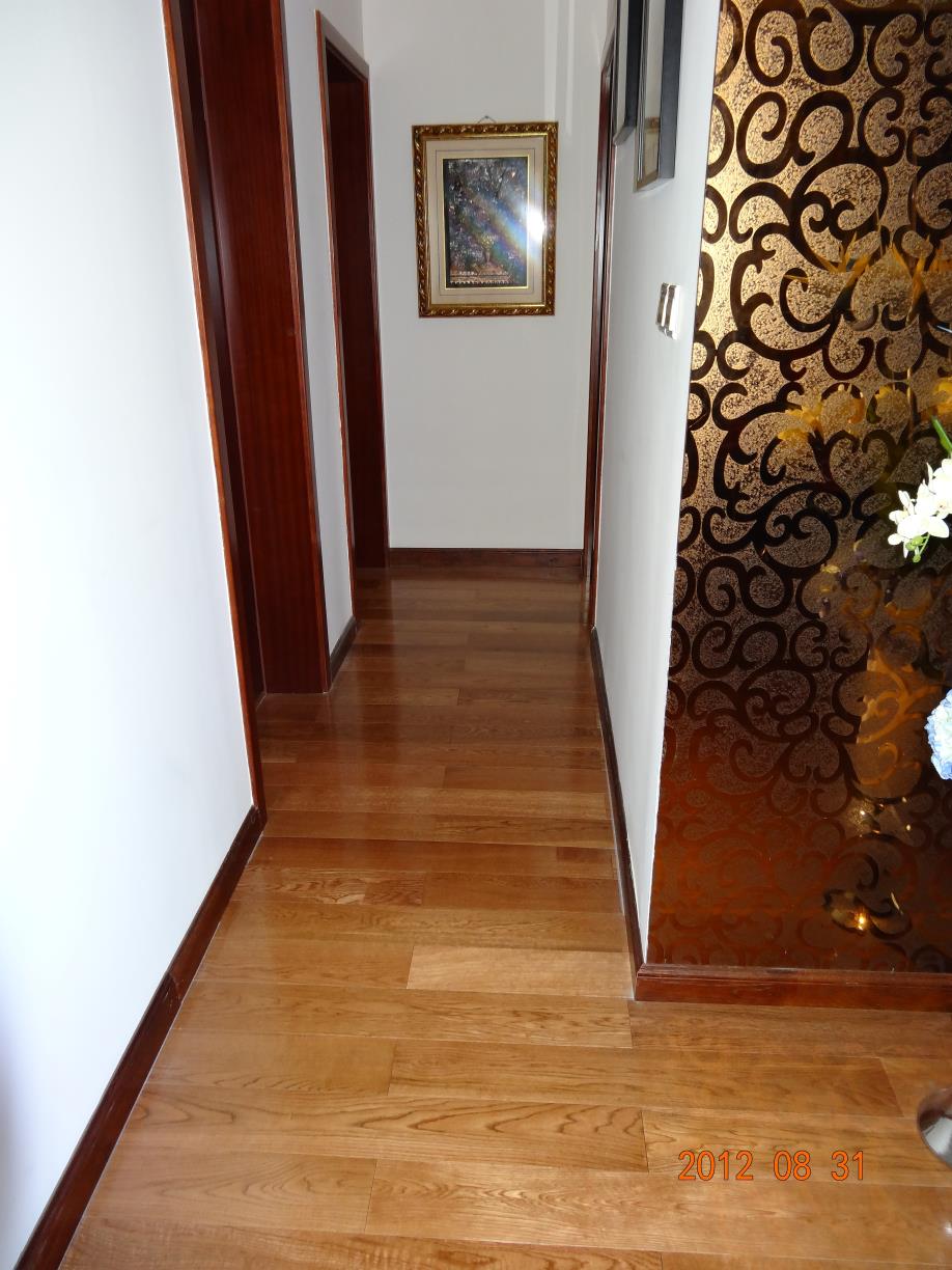 DSC00113-0.JPG