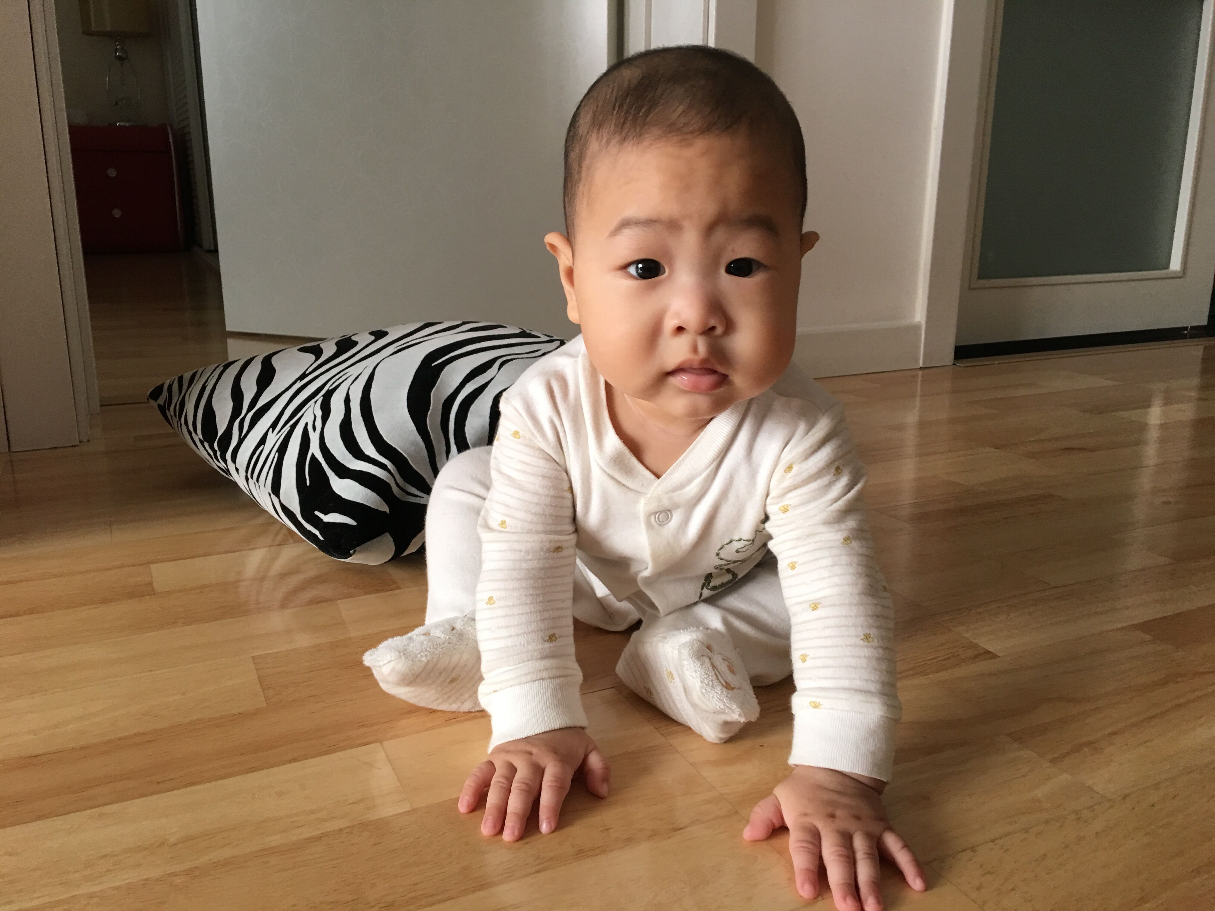 QQ圖片20170327112252.jpg